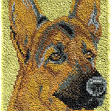 Dog R-135