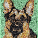 Dog R-134