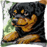 Dog P-167