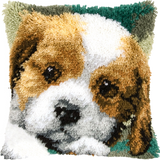 Dog P-116