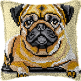 Dog P-168