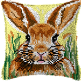 Rabbit P-108