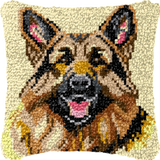 Dog P-171