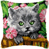 Chat P-124