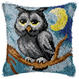 Owl P-106