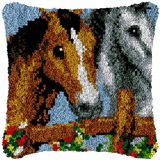 Horse P-113